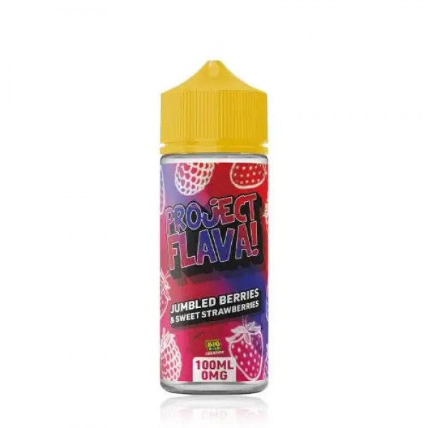 Project Flava x Big Bold 100ml 0mg Shortfills